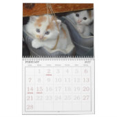Cute Cats Calendar Kalender (Feb 2027)