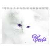 Cute Cats Calendar Kalender (Hoes)