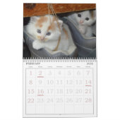 Cute Cats Calendar Kalender (Feb 2026)
