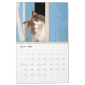 Cute Cats Calendar Kalender (Mar 2027)