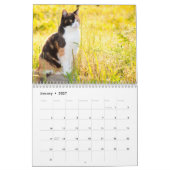 Cute Cats Calendar Kalender (Jan 2027)