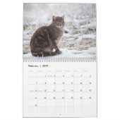 Cute Cats Calendar Kalender (Feb 2027)
