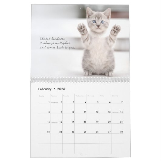 Cute Cats Calendar Kalender (Feb 2026)