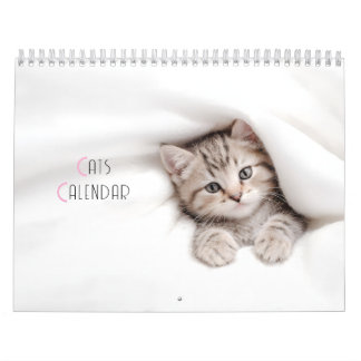 Cute Cats Calendar Kalender