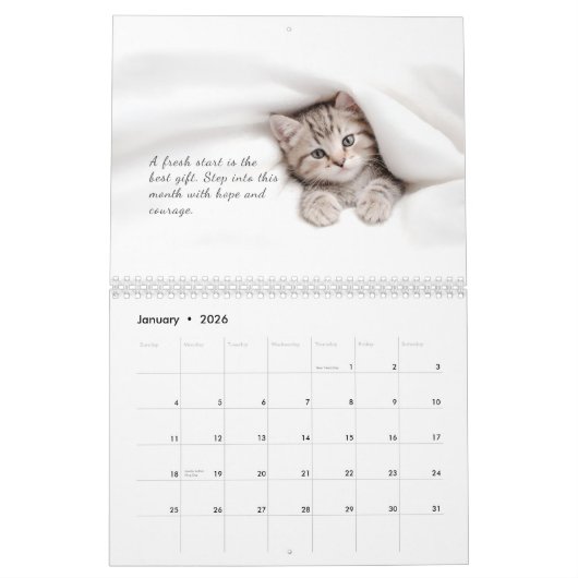 Cute Cats Calendar Kalender (Jan 2026)
