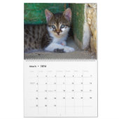 Cute Cats Calendar Kalender (Mar 2026)