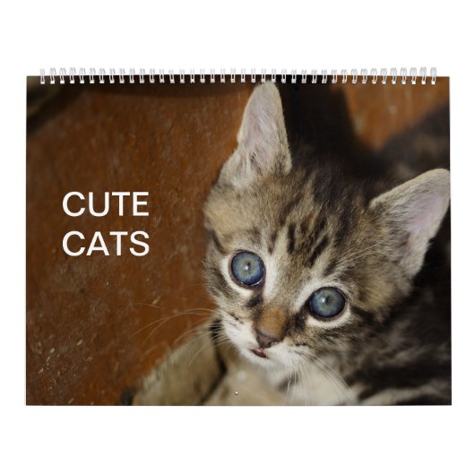 Cute Cats Calendar Kalender (Hoes)