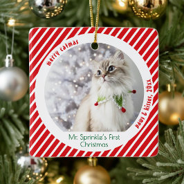 Cute Cats First Christmas Festive Keepsake  Keramisch Ornament