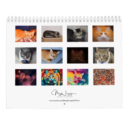 Cute Cats Foto Art Design 2023 Maandelijks Kalender (Achterkant)