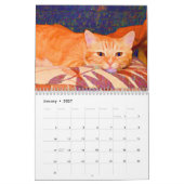 Cute Cats Foto Art Design 2023 Maandelijks Kalender (Jan 2027)