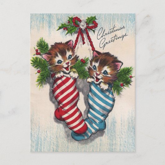 Cute Cats in Crhistmas Socks Briefkaart (Voorkant)