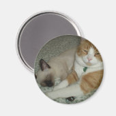 Cute Cats Magneet (Voorkant / Achterkant)