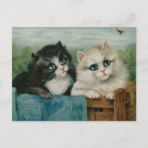 Cute Cats op het hek Briefkaart