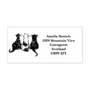 Cute Cats Return-adres Zelfinktende Stempel