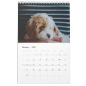 Cute Cavachon Dog Kalender (Feb 2027)