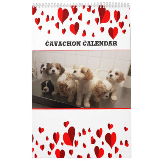 Cute Cavachon Dog Kalender