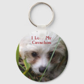 Cute Cavachon Puppy Sleutelhanger (Voorkant)