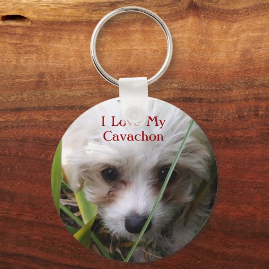 Cute Cavachon Puppy Sleutelhanger (Voorkant)