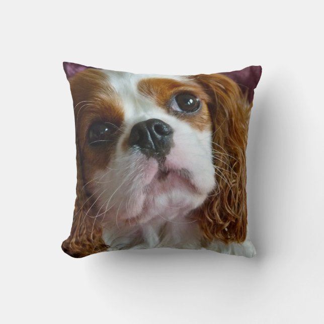 Cute Cavalier King Charles Spaniel kussenkussens Kussen (Voorkant)