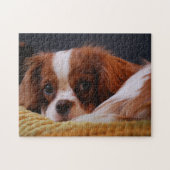 Cute Cavalier King Charles Spaniel Legpuzzel (Horizontaal)