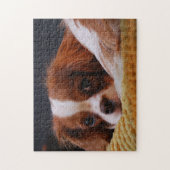 Cute Cavalier King Charles Spaniel Legpuzzel (Verticaal)