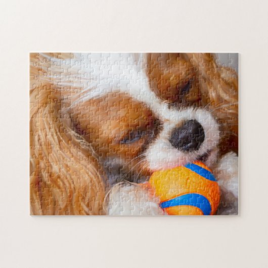 Cute Cavalier met kogelpuzzle Legpuzzel (Horizontaal)