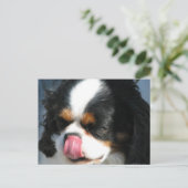 Cute Cavalier Spanial Dog Briefkaart (Staand voorkant)