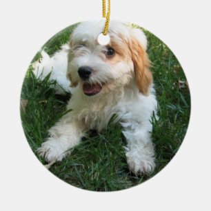 CUTE CAVAPOO PUPPY KERAMISCH ORNAMENT