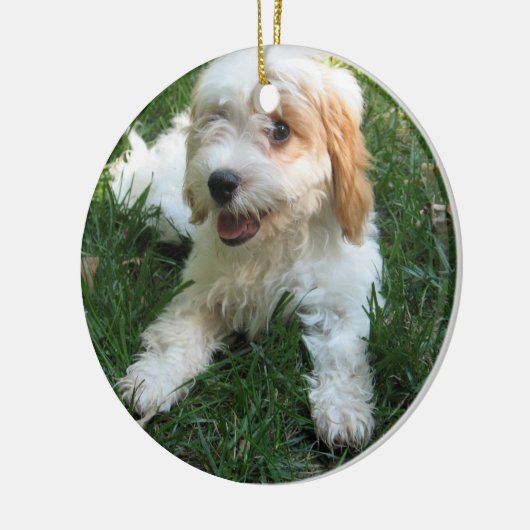 CUTE CAVAPOO PUPPY KERAMISCH ORNAMENT (Links)