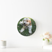 CUTE CAVAPOO PUPPY RONDE KLOK (Huis)