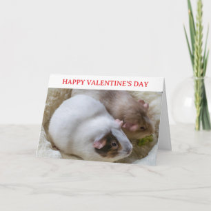 Cute cavia's Valentijnkaart Feestdagen Kaart