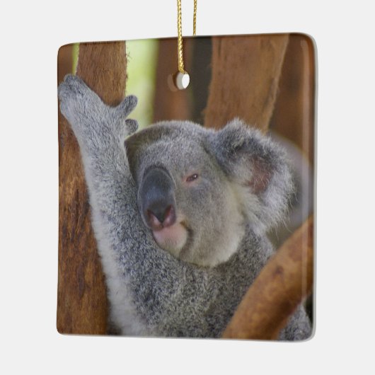 Cute Ceramic Koala Ornament (Links)
