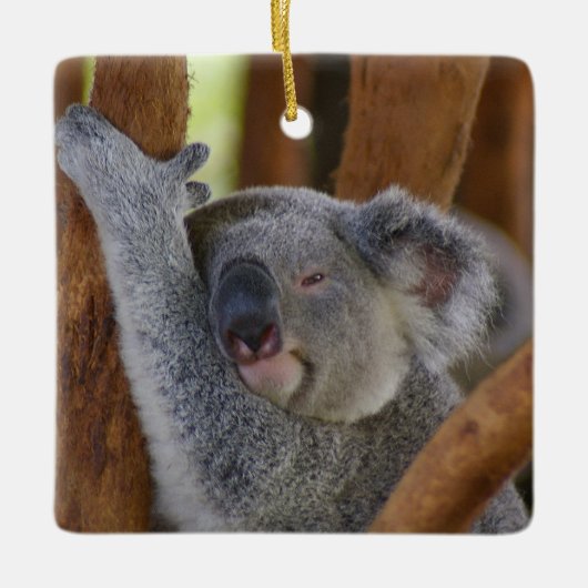 Cute Ceramic Koala Ornament (Voorkant)