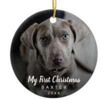 Cute Chalk Script Dog Foto voor eerste Kerstmis