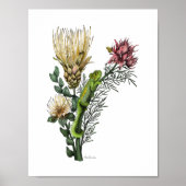 Cute Chameleon in Protea Floral Bouquet Botanical  Poster (Voorkant)