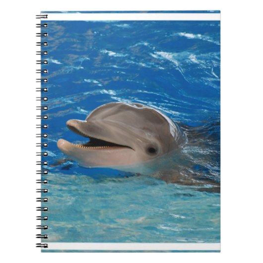 Cute Chattering Dolphin Notitieboek (Voorkant)