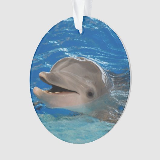 Cute Chattering Dolphin Ornament (voorkant)