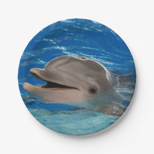 Cute Chattering Dolphin Papieren Bordje