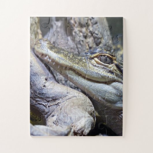 Cute Cheeky Baby Crocodile Smiling Legpuzzel (Verticaal)