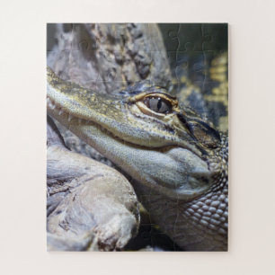 Cute Cheeky Baby Crocodile Smiling Legpuzzel