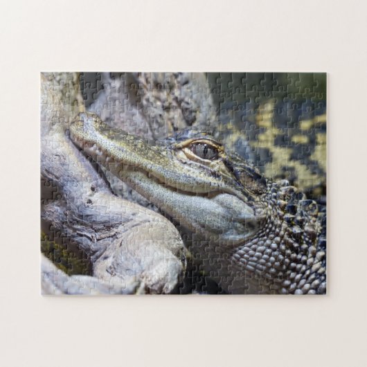 Cute Cheeky Baby Crocodile Smiling Legpuzzel (Horizontaal)