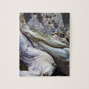 Cute Cheeky Baby Crocodile Smiling Legpuzzel
