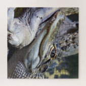 Cute Cheeky Baby Crocodile Smiling Legpuzzel (Horizontaal)