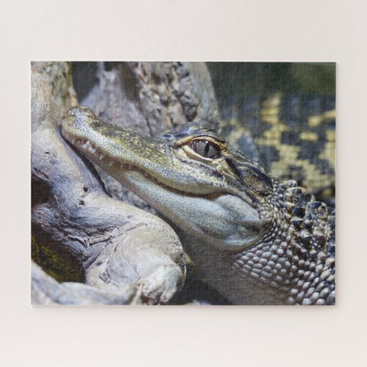 Cute Cheeky Baby Crocodile Smiling Legpuzzel (Horizontaal)