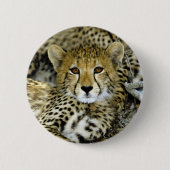 Cute Cheetah Ronde Button 5,7 Cm (Voorkant)
