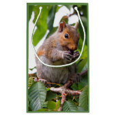 Cute Cherry schopend oostelijke grijze eekhoorn Klein Cadeauzakje (Achterkant)