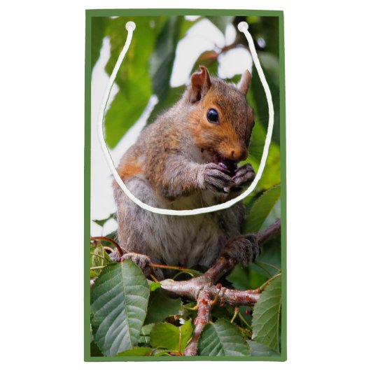 Cute Cherry schopend oostelijke grijze eekhoorn Klein Cadeauzakje (Achterkant)