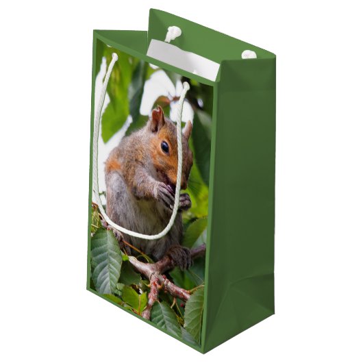 Cute Cherry schopend oostelijke grijze eekhoorn Klein Cadeauzakje (Achterkant Gekanteld)