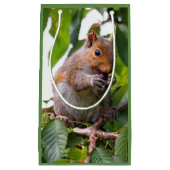 Cute Cherry schopend oostelijke grijze eekhoorn Klein Cadeauzakje (Voorkant)