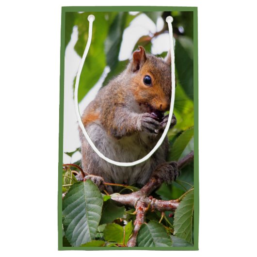 Cute Cherry schopend oostelijke grijze eekhoorn Klein Cadeauzakje (Voorkant)
